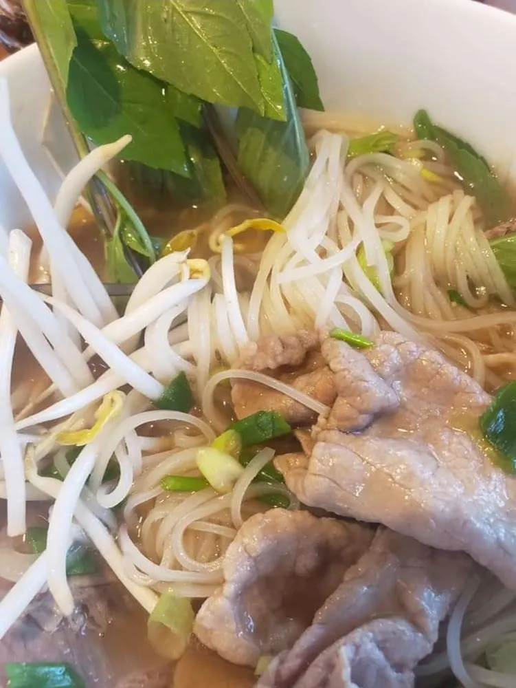 Beef Chicken Noodle Soup